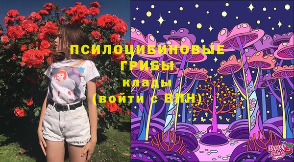 мяу мяу кристалл Ельня