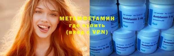 прущие грибы Елабуга