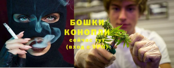 прущие грибы Елабуга