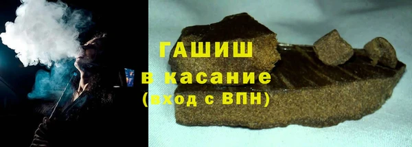 прущие грибы Елабуга