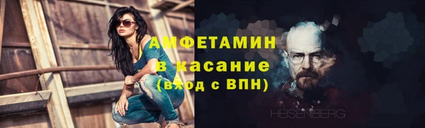 прущие грибы Елабуга