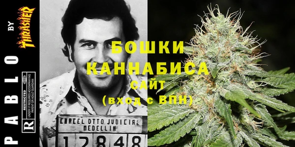 мяу мяу кристалл Ельня
