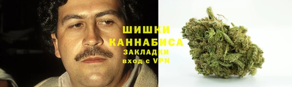 мяу мяу кристалл Ельня
