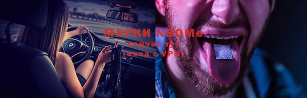 прущие грибы Елабуга