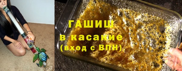 прущие грибы Елабуга