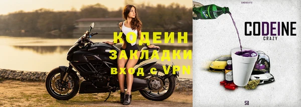 прущие грибы Елабуга