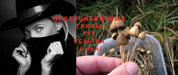 мяу мяу кристалл Ельня