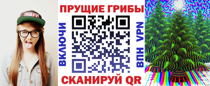 Купить закладки  Обоянь  Псилоцибиновые грибы Psilocybe 